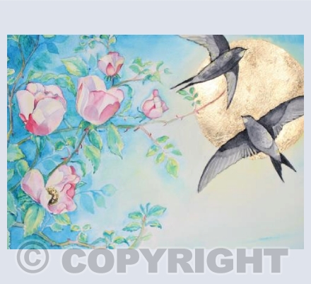 Summer Swifts