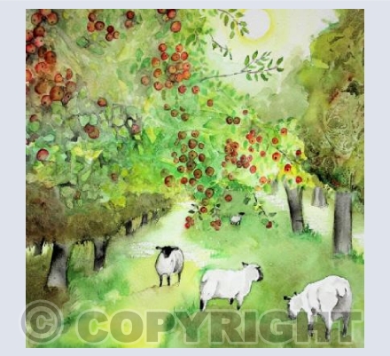 Somerset Orchard