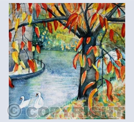 Swans of Wells