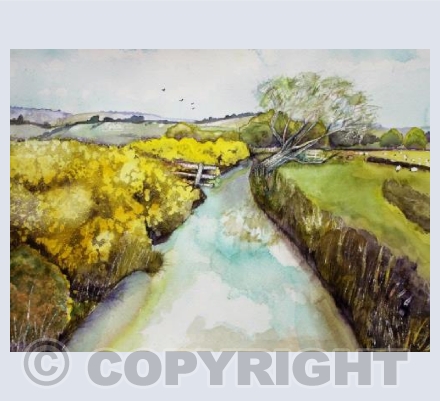 Near Godney, Somerset