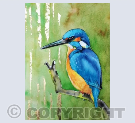 Kingfisher