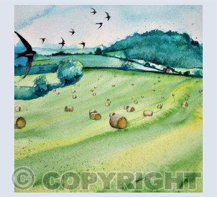 Making Hay