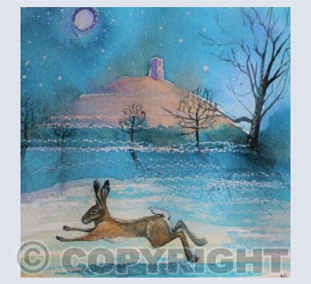 Winter Hare