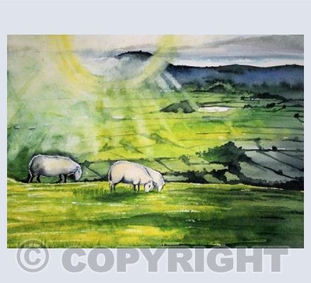 Winter Sun on the Mendips