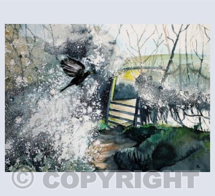 Through the Blackthorn