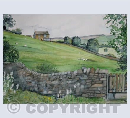 Stone Walls and Sheep