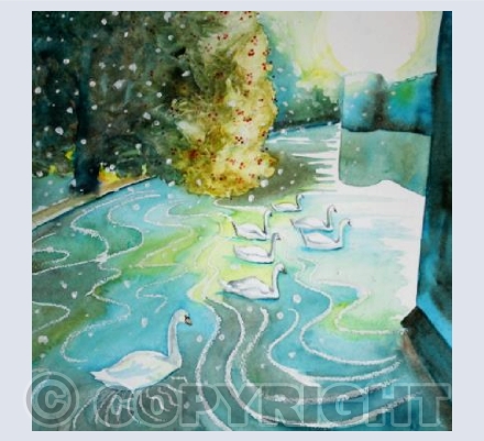 Seven Swans A Swimming