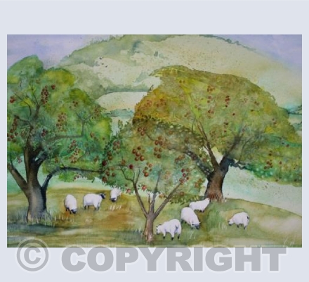 Autumn in Somerset