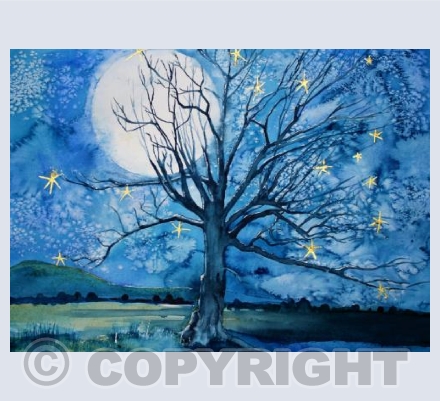 Starry Elm