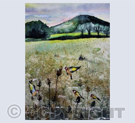 Goldfinches