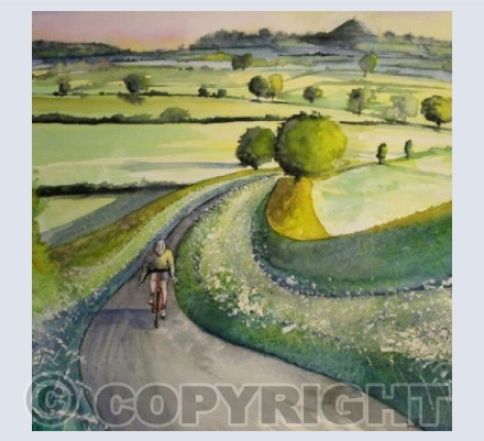 Early Evening Ride