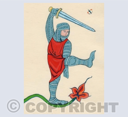 'Butterfly Knight'