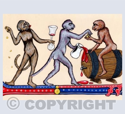 'Drunken Monkeys'