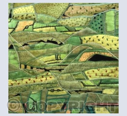 Hills,Dales and Walls