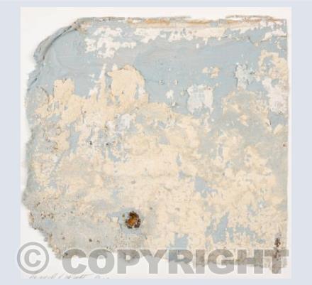 Whale by Andrea Wright