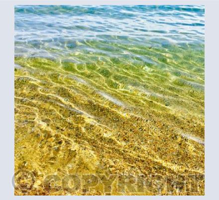 Sea by Peter Stone