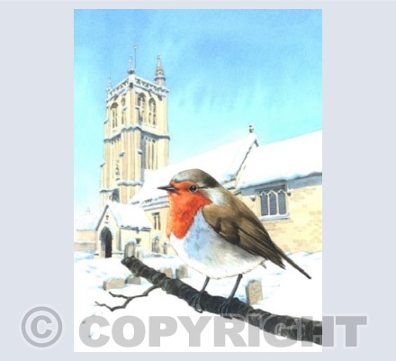 Robin Redbreast