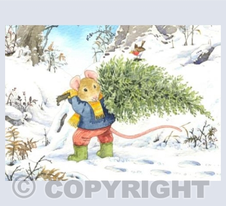 Oh Christmas Tree ...