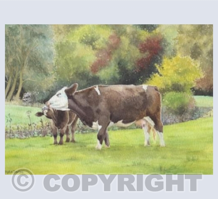 Cow Lick - Drewett's Mill