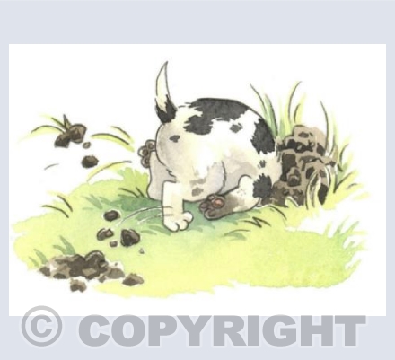 Dig, Dig, Dig,  Dog, Dog, Dog!