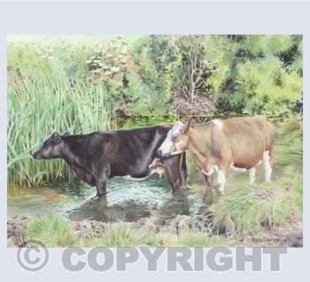 Paddling in The Bybrook