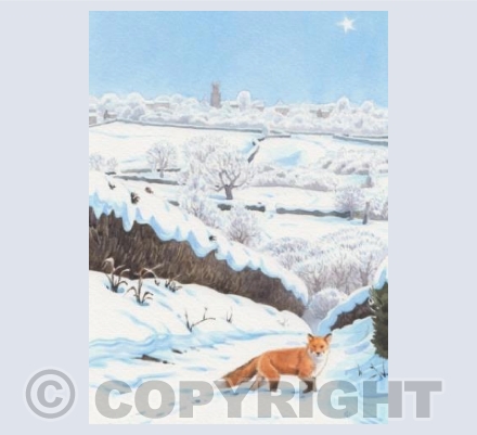 Snowy Fox on Box Lane