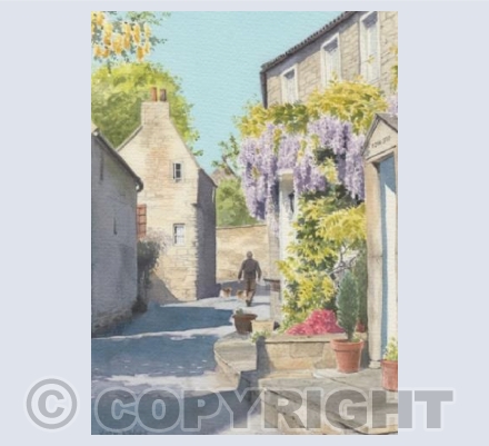Wisteria in Watergates