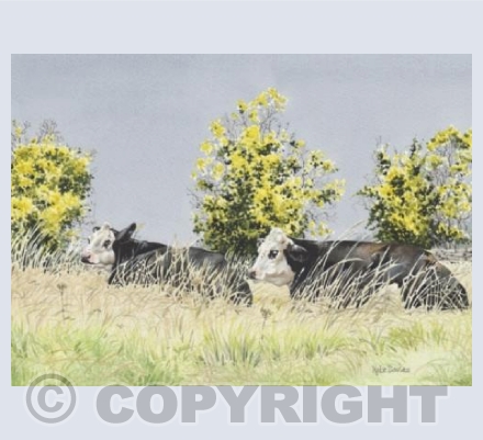 Ruminating
