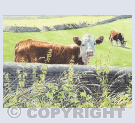 Outstanding in the Field