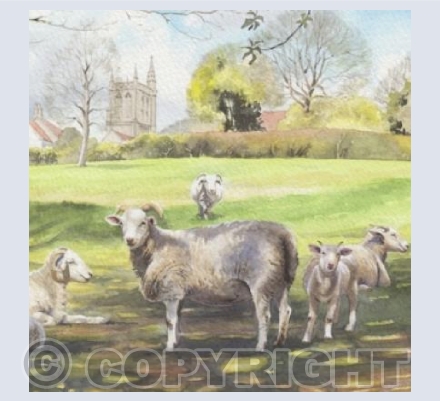 Where sheep may safely graze ...