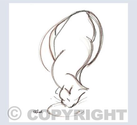 Cat lapping card