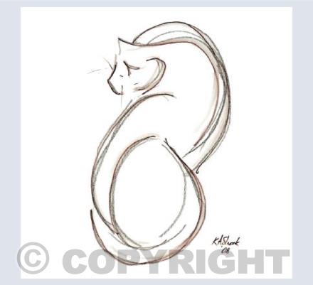 S Cat card