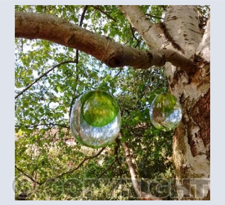 Temptation Apples by Anne Arlidge