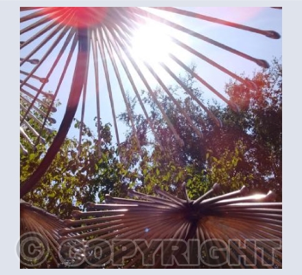 Parasol by Richard Cresswell,