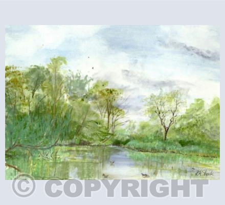 Wolvercote Lakes
