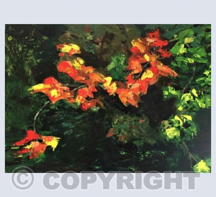 Autumn Leaves