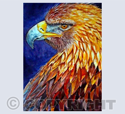 Golden Eagle