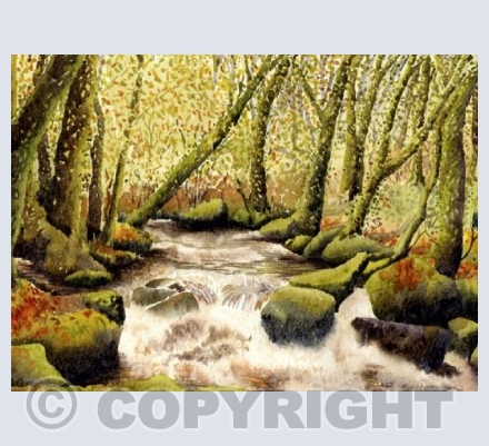 Golitha Falls