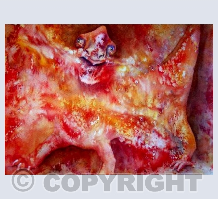 Saltopyrovenator.  