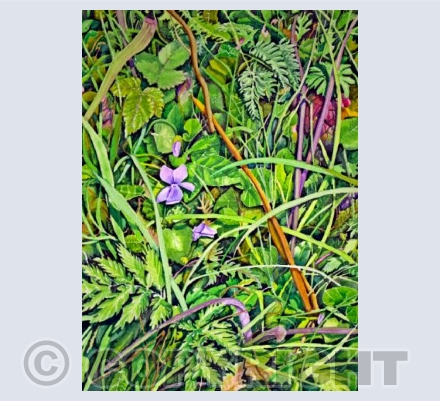 Violet