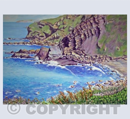 From Widemouth to Bude