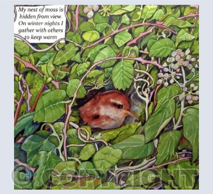 I am a Wren 6 of 6