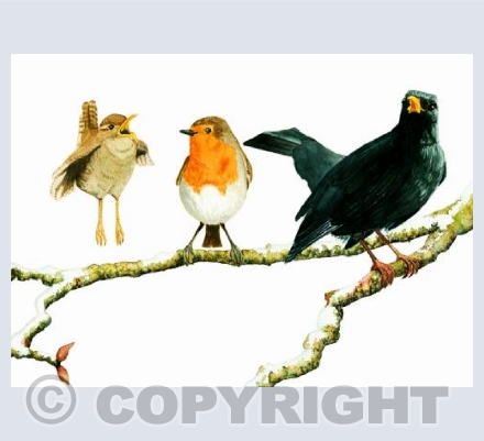 The Garden Trio