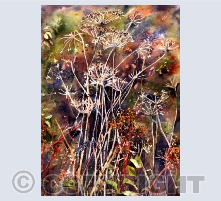 Autumn Hedgerow