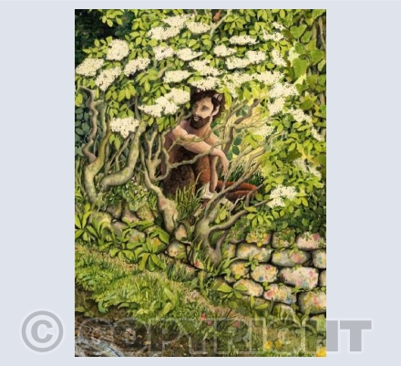 Pan, hedgerow watcher