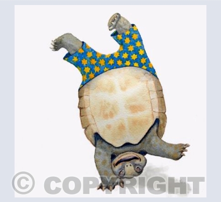 Tumbling Tortoise