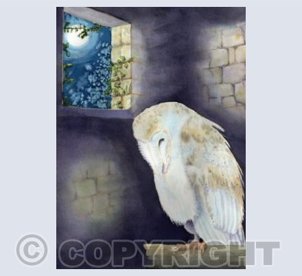 Sleep Owl