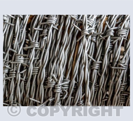 Barbed Wire