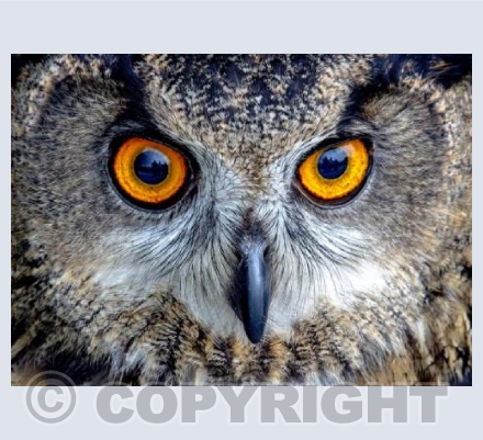 You looking at me