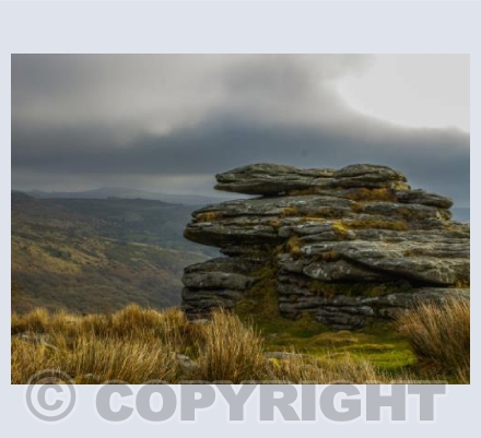Dartmoor view